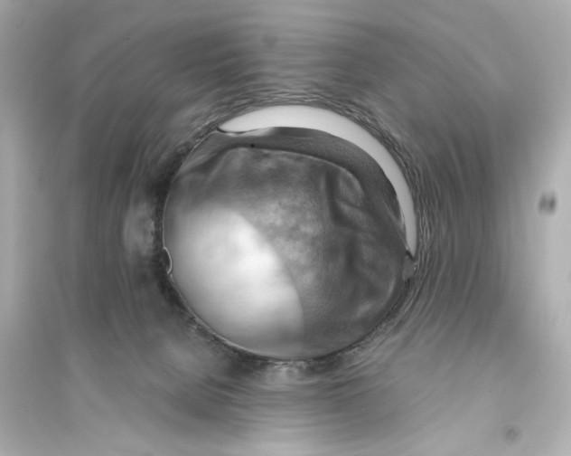 X0000093590080200711121134