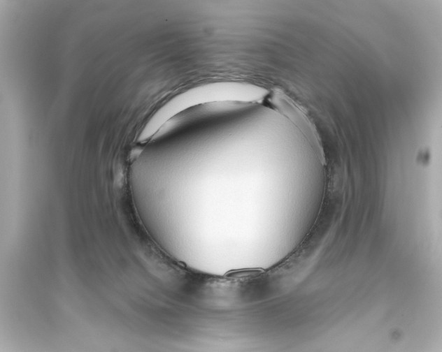X0000093590084200711121134