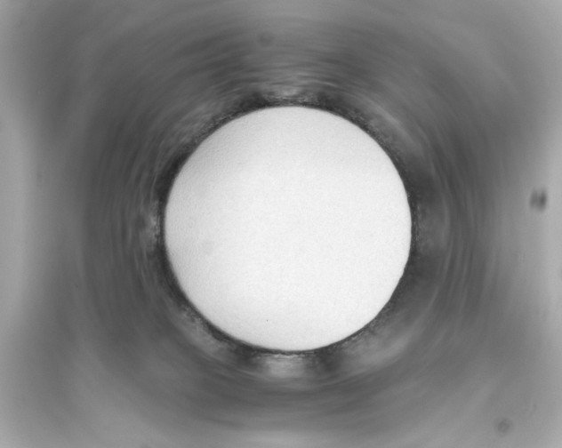 X0000093590085200711121134