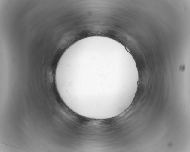 X0000093590086200711121134