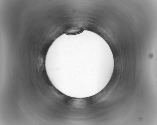 X0000093590087200711121134