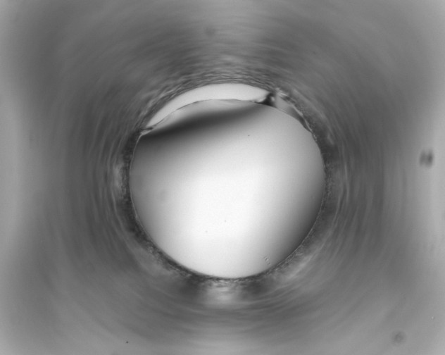 X0000093590088200711121134