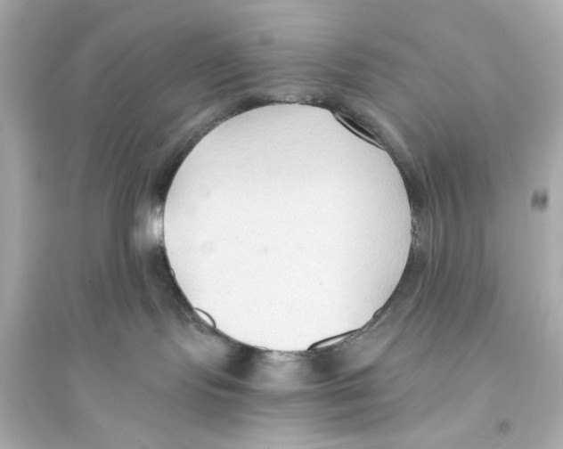 X0000093590095200711121135