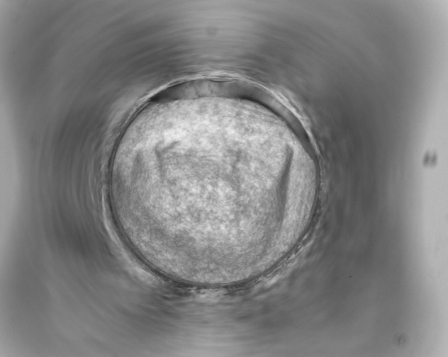X0000093590097200711121134