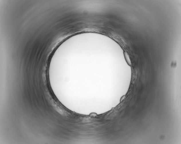 X0000093590098200711121134
