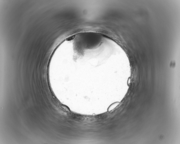 X0000093590099200711121134