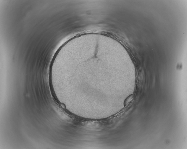 X0000093590100200711121134