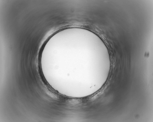 X0000093590102200711121134
