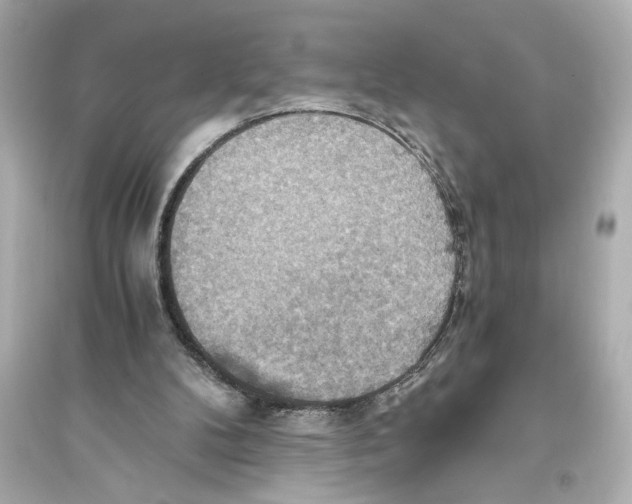 X0000093590104200711121134
