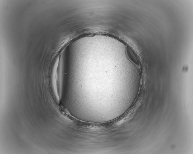 X0000093590105200711121134