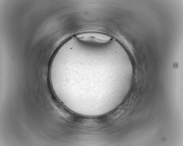 X0000093590107200711121134