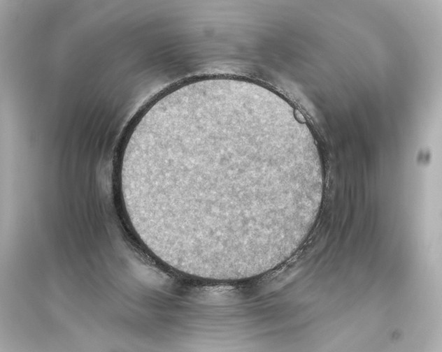 X0000093590108200711121134