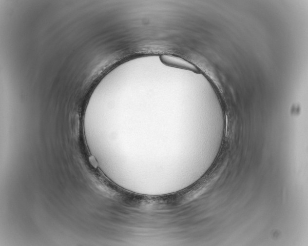X0000093590109200711121134
