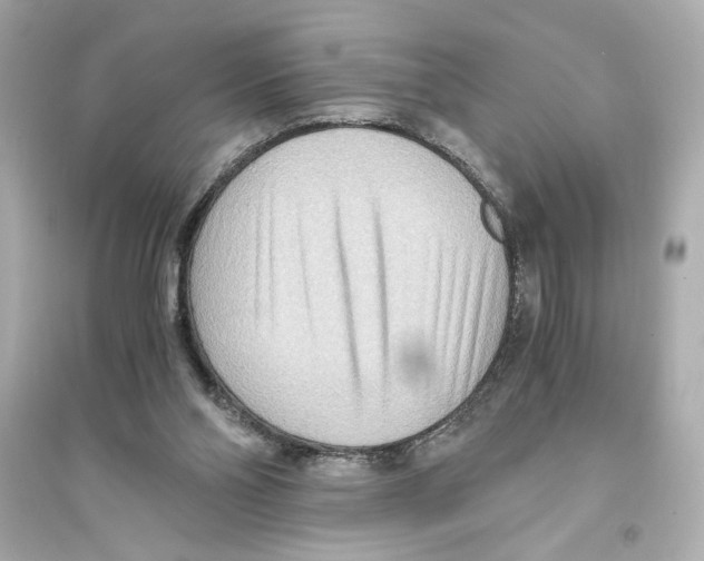 X0000093590110200711121134