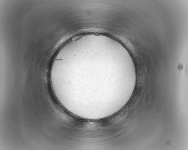 X0000093590111200711121134