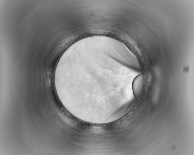 X0000093590114200711121134