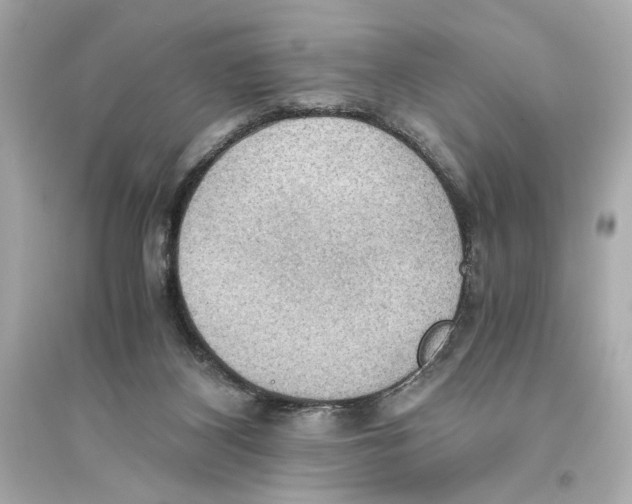 X0000093590116200711121134