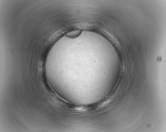 X0000093590117200711121134
