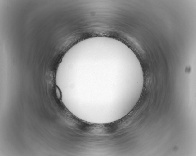 X0000093590121200711121134