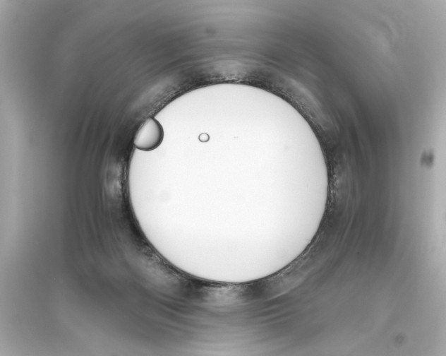 X0000093590122200711121134