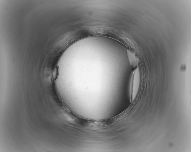 X0000093590125200711121134