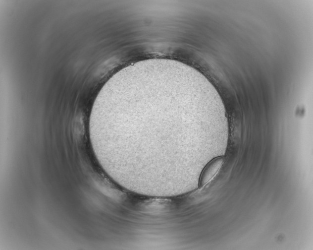 X0000093590128200711121134