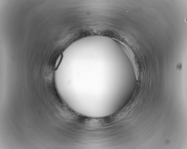 X0000093590129200711121133