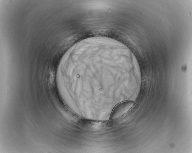 X0000093590130200711121133