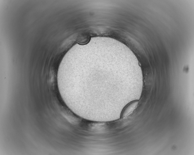 X0000093590132200711121133
