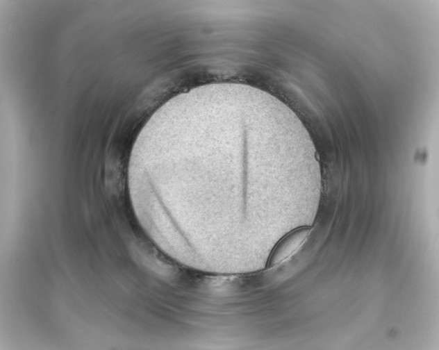 X0000093590136200711121133