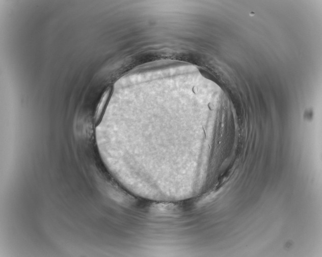 X0000093590137200711121133