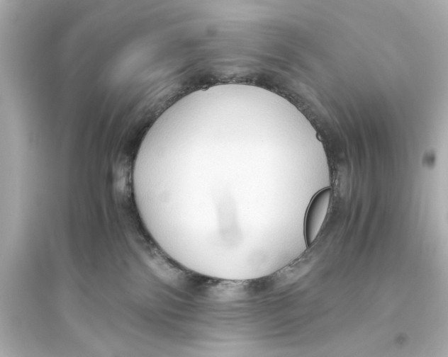 X0000093590138200711121133