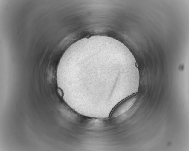 X0000093590140200711121133