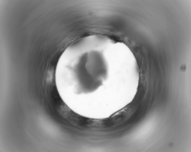 X0000093590143200711121133