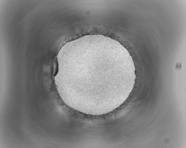 X0000093590144200711121133