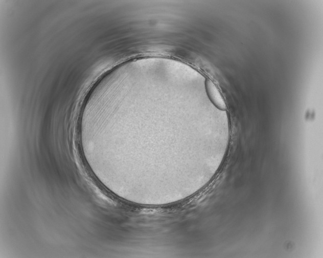 X0000093590145200711121133