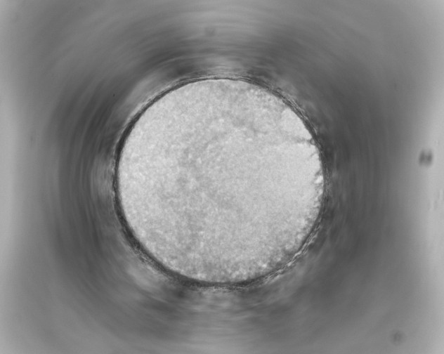 X0000093590146200711121133