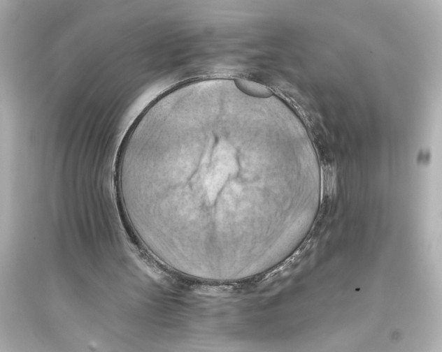 X0000093590147200711121133