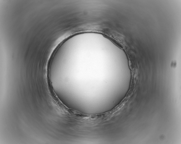 X0000093590148200711121133