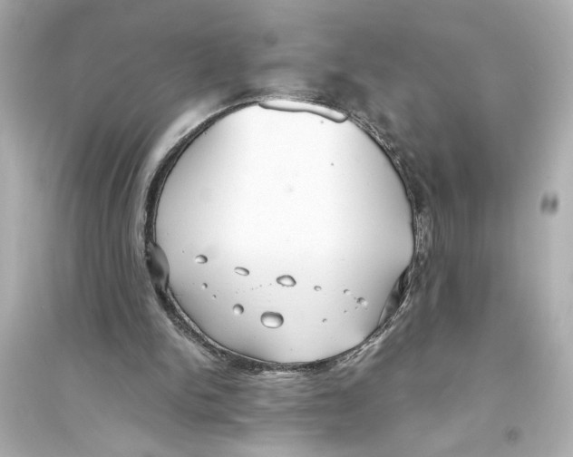X0000093590150200711121133