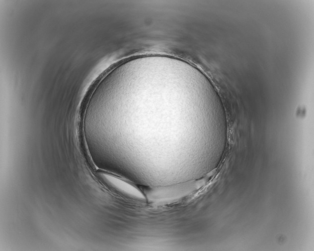 X0000093590152200711121133
