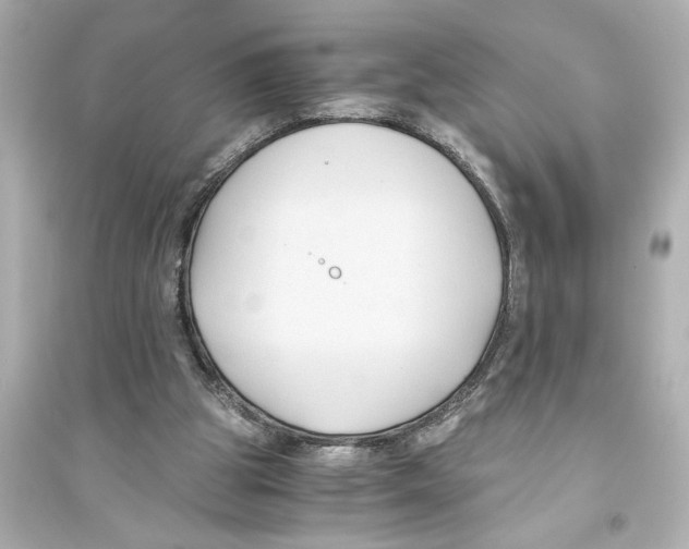 X0000093590153200711121133