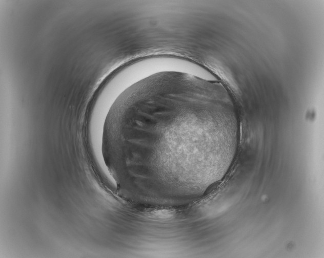 X0000093590156200711121133