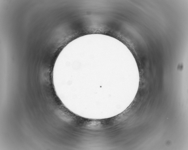 X0000093590162200711121133