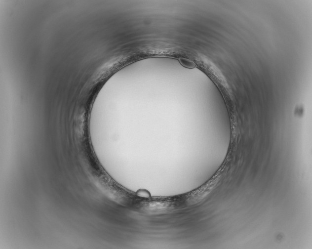X0000093590163200711121133