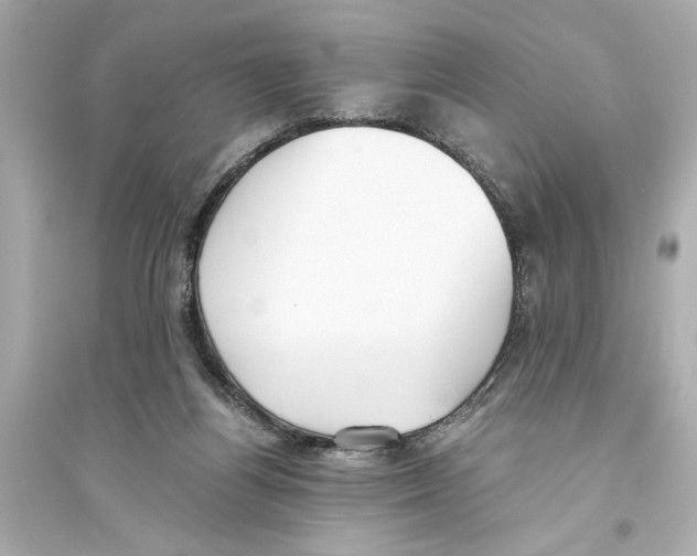X0000093590164200711121133