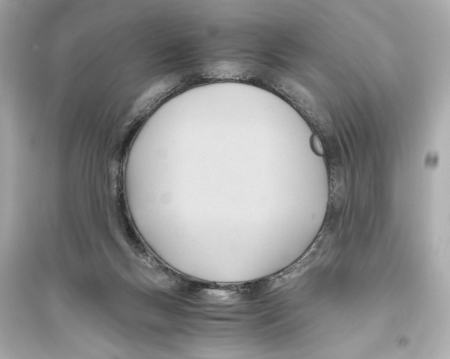 X0000093590167200711121133