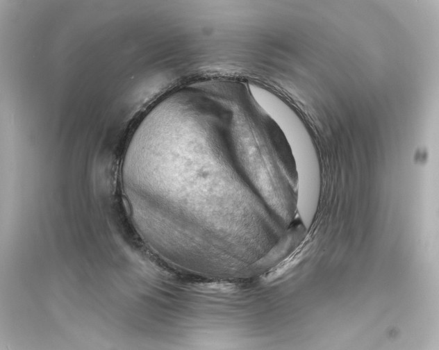 X0000093590168200711121133