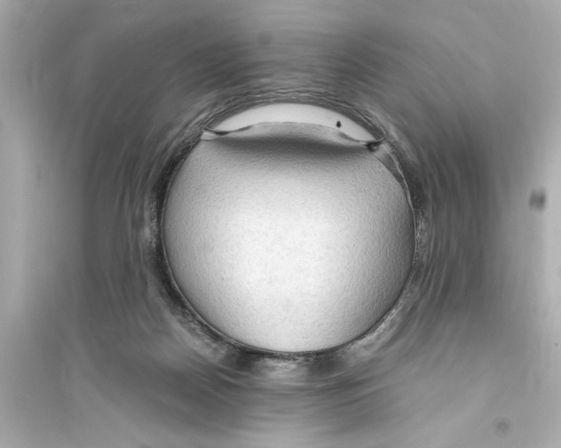 X0000093590170200711121133
