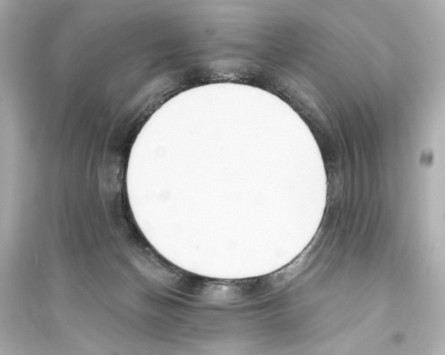 X0000093590174200711121133